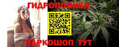 круглые Заволжье